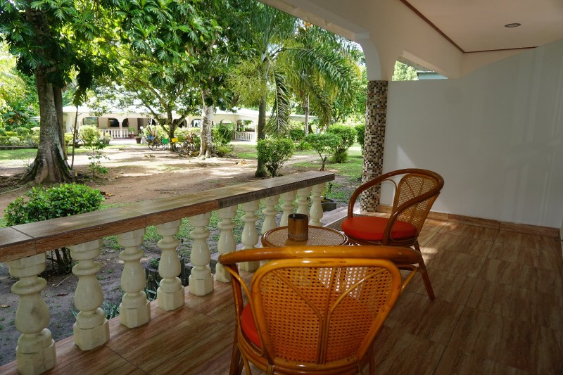 CHALET-BAMBOU-VERT-TERRASSE-