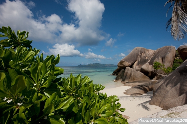 ETOILE-LABRINE-PLAGE